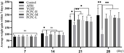 Penthorum chinense Pursh Compound Ameliorates AFB1-Induced Oxidative Stress and Apoptosis via Modulation of Mitochondrial Pathways in Broiler Chicken Kidneys